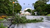 ¿Cuándo y dónde tocaría tierra el huracán Beryl y cuándo podría llegar a México?