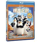(全新未拆封)馬達加斯加爆走企鵝 Penguins Of Madagascar 藍光BD(傳訊公司貨)限量特價
