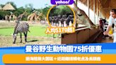 泰國旅遊｜亞洲最大野生動物園「曼谷塞福瑞野生動物園」門票75折優惠！人均$170起暢遊5,000公頃海陸兩大園區＋近距離接觸老虎及長頸鹿