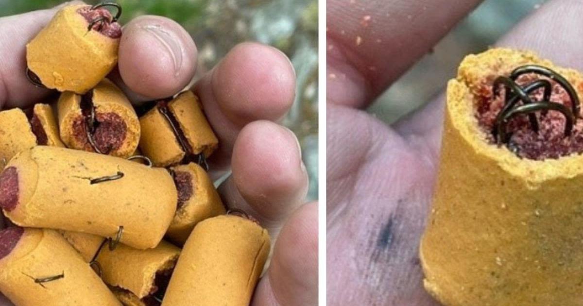 Fish hooks found in dog treats on Appalachian Trail in Lehigh County, Pennsylvania