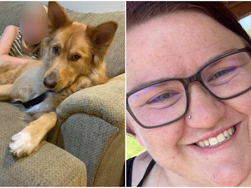 'An avoidable tragedy': Calgary woman charged after dog dies in hot car