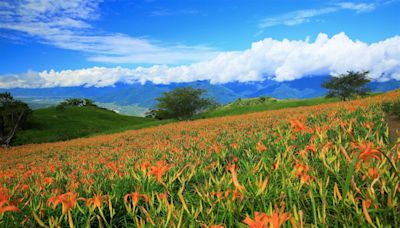 暢遊花東縱谷特色景點 享受在地多樣風情