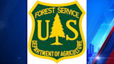 Monongahela Nation Forest conducting prescribed burn in Pocahontas County