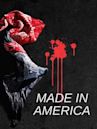 Crips and Bloods: Made in America