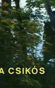 A csikós