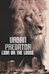 Urban Predator: Lion on the Loose