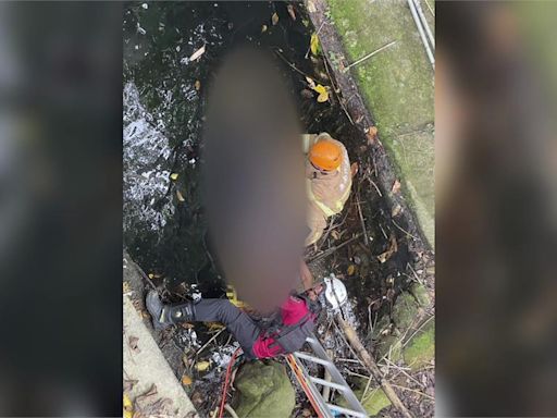 疑上廁所不慎跌落5公尺溪溝！ 60歲男溺斃亡-台視新聞網