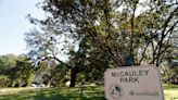 McCauley Park's damaged live oak dubbed 'Betty White' to be cut down