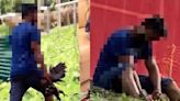 Alleged wild chicken killing in Singapore park: ACRES files report for investigation, NParks 'looking into the matter'