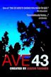 Ave 43