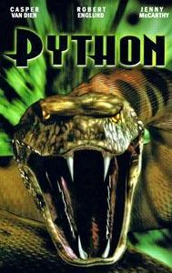 Python