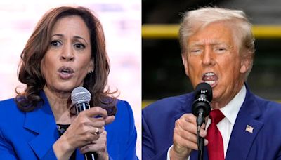 Trump campaigns in battleground Michigan as Harris visits birthplace of GOP with Liz Cheney: Live updates