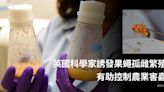 英國科學家誘發果蠅孤雌繁殖 有助控制農業害蟲