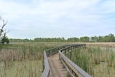 Tifft Nature Preserve