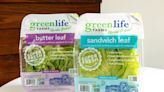 Green Life Farms launches packaging for produce freshness