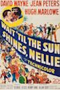Wait till the Sun Shines, Nellie (film)