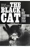 The Black Cat