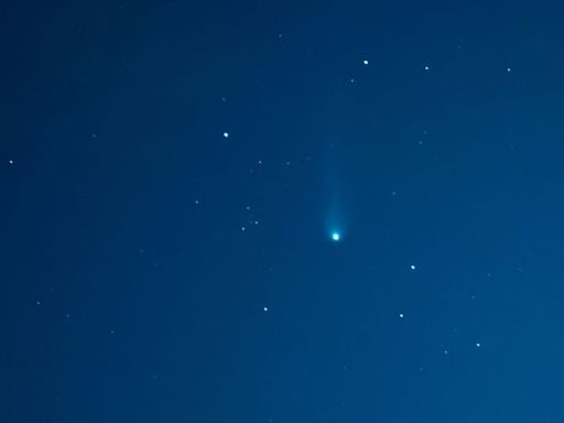 ‘Devil comet’ is about to make its closest approach of Earth