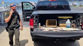 Another walleye fishing tourney marred by cheating scandal