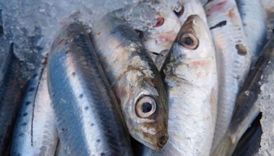 El tipo de pescado que prolonga la esperanza de vida, según estudio científico