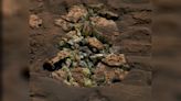 NASA's Mars Rover Leaves Scientists Stunned After Finding A Surprise In A Martian Rock