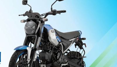 Bajaj Freedom, world's 1st CNG bike, launched in India: Price, feature, mileage