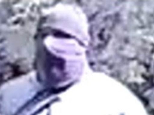 Cops hunt robber who pistol-whipped woman and stole £2m of jewellery
