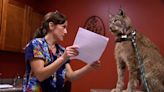 Dr. K’s Exotic Animal ER Season 6 Streaming: Watch & Stream Online via Disney Plus & Hulu