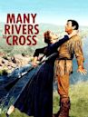 Many Rivers to Cross (film)