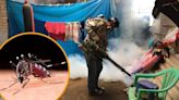 Casos de Dengue en Perú cerca de llegar a los 200 mil contagios y 162 fallecidos: se triplica la cifra del 2023