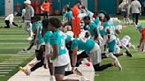 Open Dolphins OTA Observations