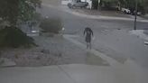 Albuquerque neighborhood concerned over unknown man exhibiting bizarre behavior