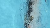Kaylee McKeown still rules the Olympic backstroke, beating Regan Smith in women’s 100 metres