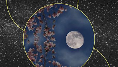 All About May's Full Moon and What It Means for Your Zodiac Sign