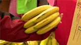 香蕉顏色有學問！ 減重選偏綠、黃褐最抗氧