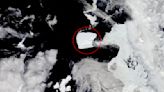 World's biggest iceberg 3 times the size of New York City is finally escaping Antarctica after being trapped for almost 40 years