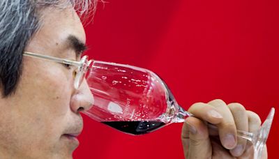 La cata de vinos produce efectos diferenciales en las redes neuronales, según un estudio