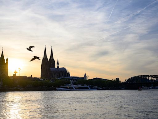 Rhine in south Germany reopens to shipping as water levels fall