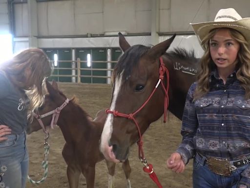 Trainers showcase wild horses for adoption in the Branded Bonanza program