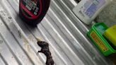 ’Dead mouse’ in Hershey’s chocolate syrup discovered by customer, netizens say: ’New fear unlocked’ | Today News