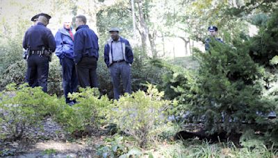 RFK Jr. says he dumped dead bear in Central Park