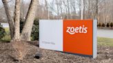 Why Zoetis, Fluffy's Drugmaker, Just Reversed Its Bad Fortune