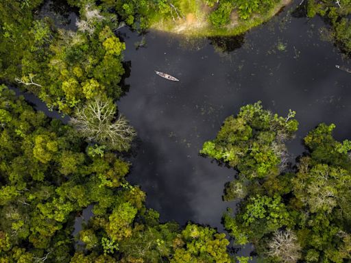 Colombia frena la deforestación y registra la cifra más baja en 23 años