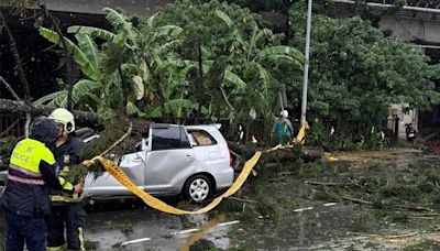 休旅車行駛中慘遭壓爆！土城午後大雷雨路樹倒塌 車內2傷者送醫無礙