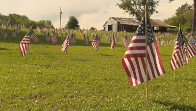 Blount Co. flag display honors heroes for Memorial Day