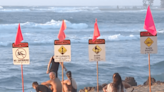 Multiple Shark Encounters on Oahu Following Attack on North Shore Surfer