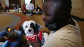 Barks at the Parks: Emotional support dogs help Iowa State students through finals