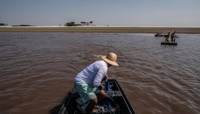 La Amazonía brasileña perdió el 5,4 % de su superficie de agua en 2023