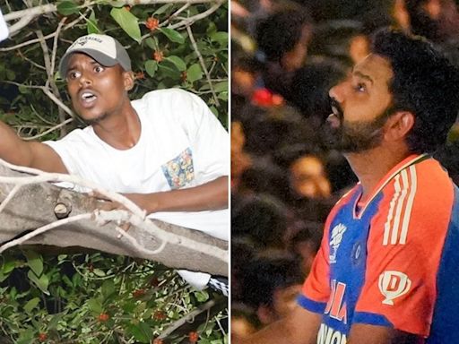 Rohit Sharma asks man perched on tree during India's victory parade to climb down, Virat Kohli's reaction takes the cake