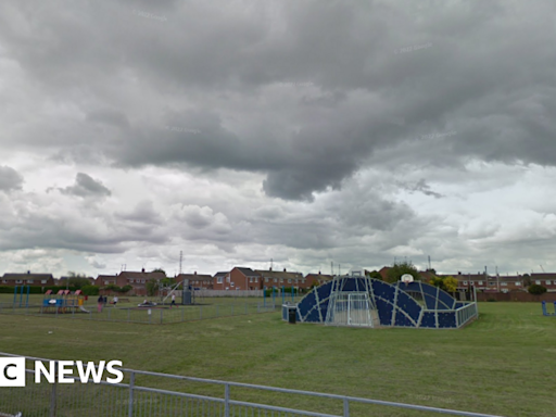 Boy seriously injured in 'one-punch' attack in Boston park